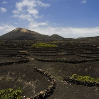 Foto de Lanzarote