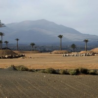 Foto de Lanzarote