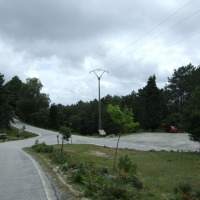 Foto de Tui