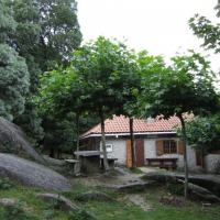 Foto de Tui
