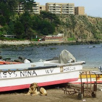 Foto de Horcon