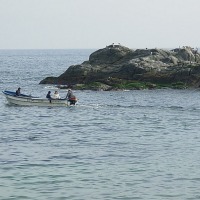 Foto de Horcon