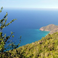 Foto de Ocumare de la Costa