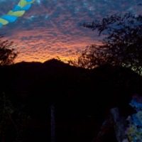 Foto de Jicaro Galan