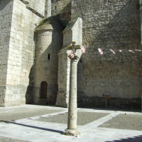 Foto de Montealegre