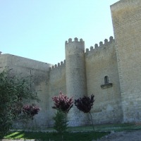Foto de Montealegre
