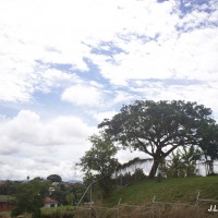 Foto de Alajuela