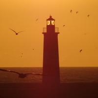 Foto de Antofagasta