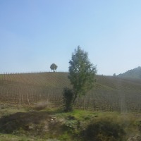 Foto de Casa Blanca