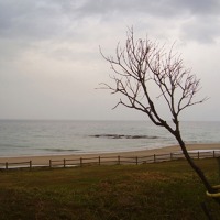 Foto de Carballo