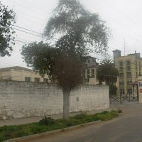 Foto de Limache