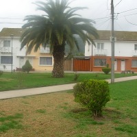 Foto de Limache