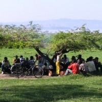 Foto de Awasa