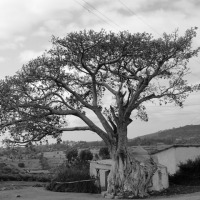 Foto de Harar