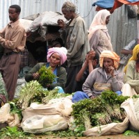 Foto de Harar