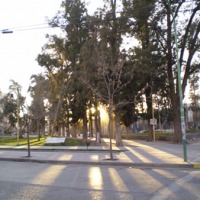 Foto de Cipolletti