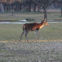 Foto de Palencia