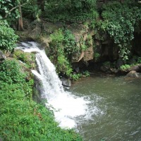 Foto de Uruapan, Michoacán