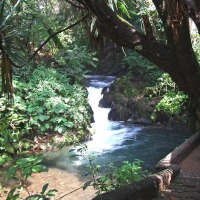 Foto de Uruapan, Michoacán