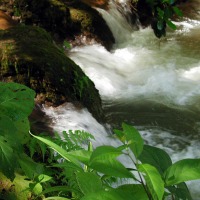 Foto de Agua Azul