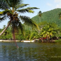 Foto de Cuyagua (Ocumare de la Costa)