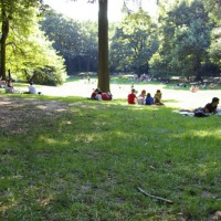 Foto de New York