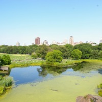 Foto de New York