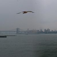 Foto de New York