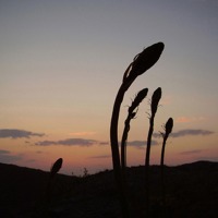 Foto de Oleiros