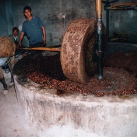 Foto de Ozoud