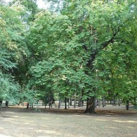 Foto de Budapest
