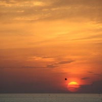 Foto de Civitavechia