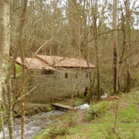 Foto de Carral
