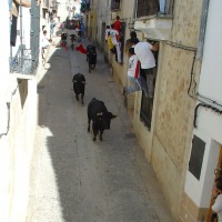Foto de Valdeolivas