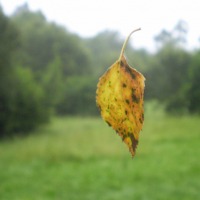 Foto de Cerceda