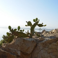 Foto de Coquimbo