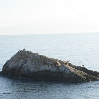 Foto de Coquimbo