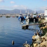 Foto de Coquimbo