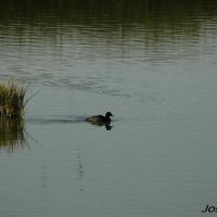 Foto de Trebujena