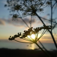Foto de Arteixo