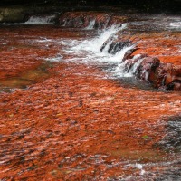 Foto de La Gran Sabana