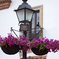 Foto de Boecillo
