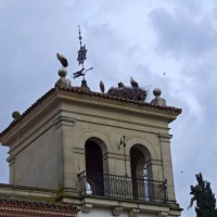 Foto de Boecillo