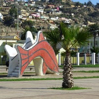 Foto de COQUIMBO