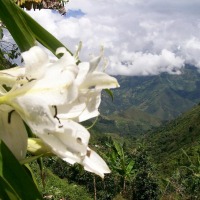 Foto de Barbosa - Antioquia