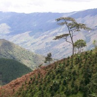 Foto de Barbosa - Antioquia