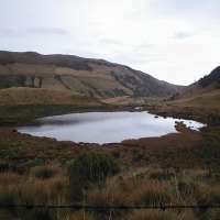 Foto de Manizales