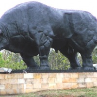 Foto de Tuacarembo