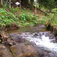 Foto de Xicotepec