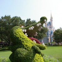 Foto de Orlando